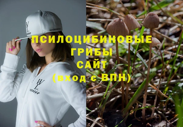 2c-b Беломорск
