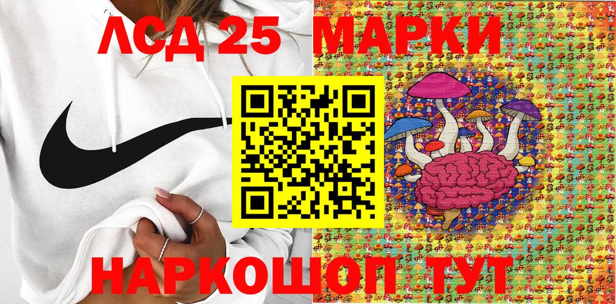где купить наркоту  Марки 25I-NBOMe  Вход с VPN  Гудермес  Марки N-bome 1500мкг  Марки N-bome 1500мкг 