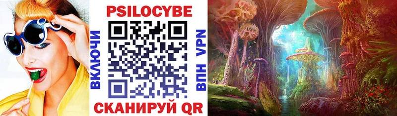 купить наркотики сайты  Гудермес  Псилоцибиновые грибы Psilocybe 