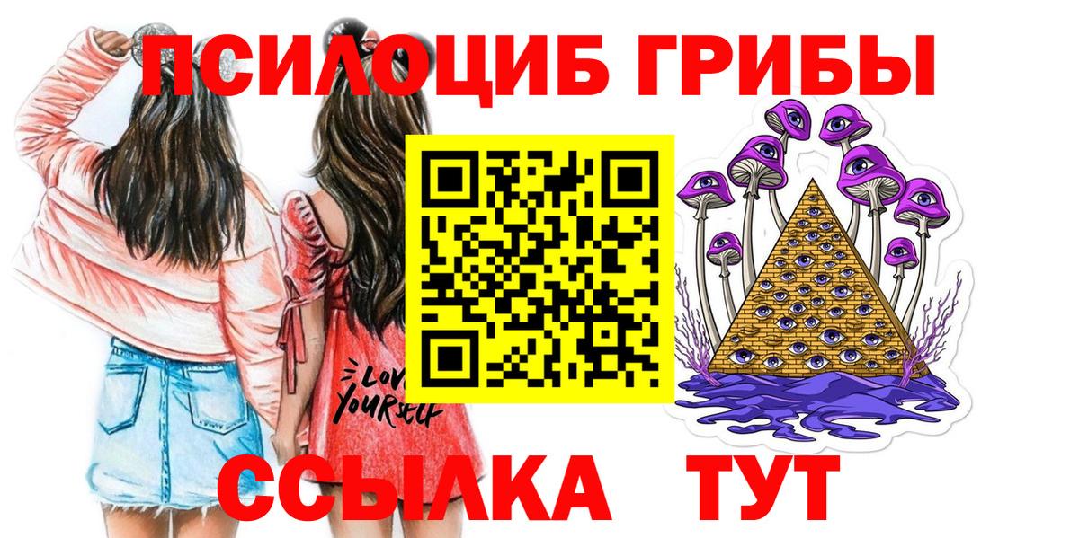 Галлюциногенные грибы GOLDEN TEACHER  Галлюциногенные грибы Cubensis  сколько стоит  Вход с VPN  Гудермес 